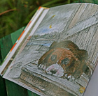 Апельсинные корки