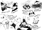 Как приручить дракона. Книга 4. Как перехитрить дракона