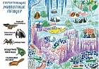 На грани исчезновения. Книжка-искалка о вымирающих видах животных