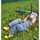 Хедвиг и ночные жабы. Книга третья