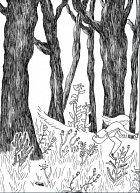 Виолетта и затерянный сад