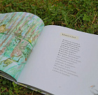 Апельсинные корки